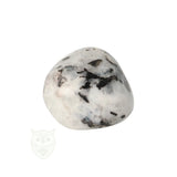 Regenboog Maansteen trommelsteen nr. 36 - 25 gram | Edelsteen