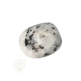 Regenboog Maansteen trommelsteen nr. 36 - 25 gram | Edelsteen
