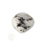 Regenboog Maansteen trommelsteen nr. 36 - 25 gram | Edelsteen