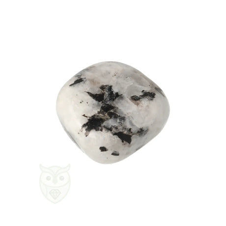 Regenboog Maansteen trommelsteen nr. 36 - 25 gram | Edelsteen