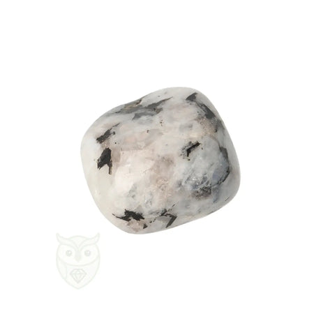 Regenboog Maansteen trommelsteen nr. 36 - 25 gram | Edelsteen