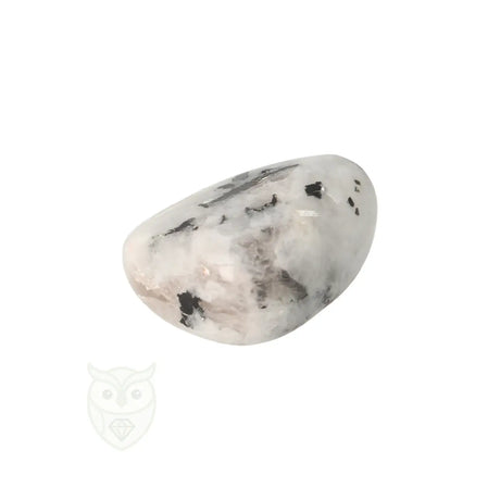 Regenboog Maansteen trommelsteen nr. 39 - 14 gram | Edelsteen