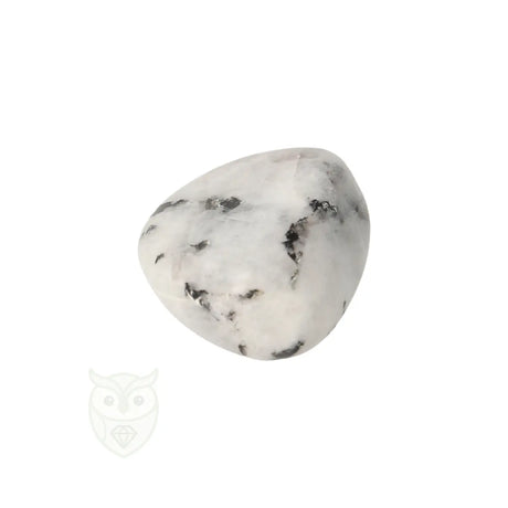 Regenboog Maansteen trommelsteen nr. 39 - 14 gram | Edelsteen