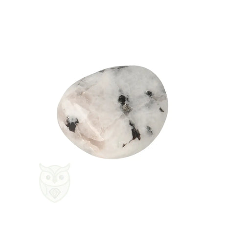 Regenboog Maansteen trommelsteen nr. 39 - 14 gram | Edelsteen