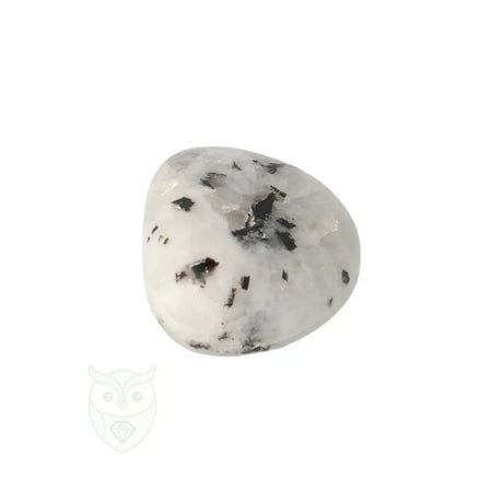 Regenboog Maansteen trommelsteen nr. 39 - 14 gram | Edelsteen