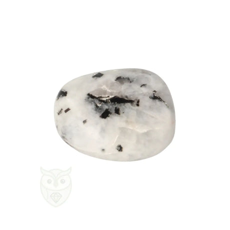 Regenboog Maansteen trommelsteen nr. 39 - 14 gram | Edelsteen