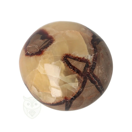 Septarie-Handstein Groß Nr. 29