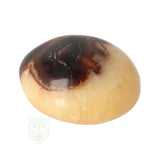 Septarie handsteen nr. 31 - 89 gram - Madagaskar | Edelsteen