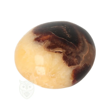 Septarie handsteen nr. 31 - 89 gram - Madagaskar | Edelsteen