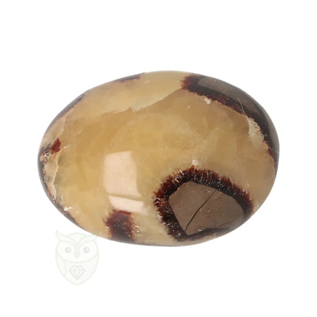 Septarie handsteen 116 gram - Madagaskar | Edelstenen septarie kopen