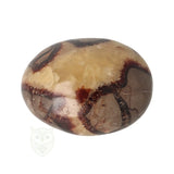 Septarie handsteen nr. 32 - 116 gram - Madagaskar | Edelsteen