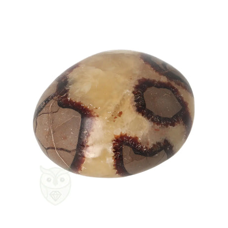 Septarie handsteen nr. 32 - 116 gram - Madagaskar | Edelsteen