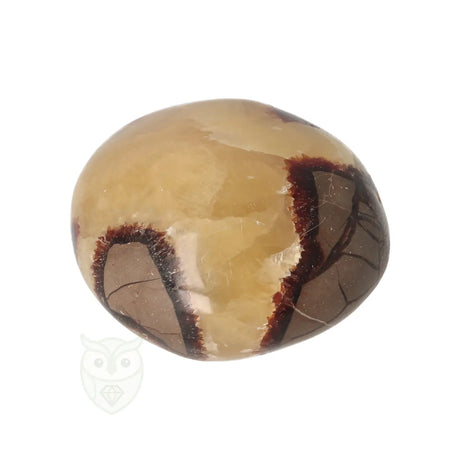 Septarie handsteen nr. 32 - 116 gram - Madagaskar | Edelsteen