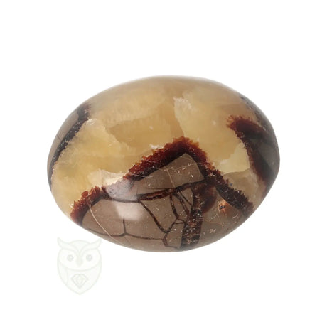 Septarie handsteen nr. 32 - 116 gram - Madagaskar | Edelsteen