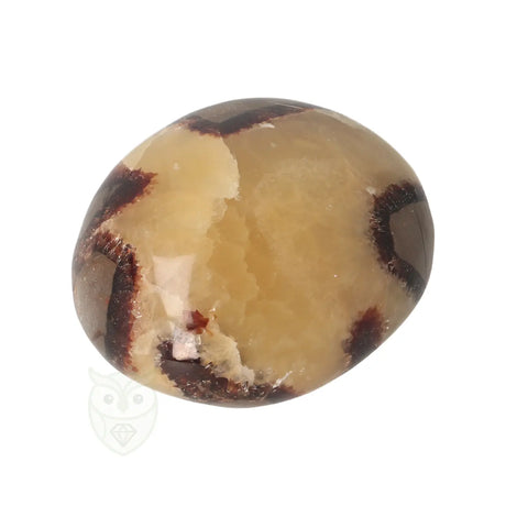 Septarie handsteen nr. 32 - 116 gram - Madagaskar | Edelsteen