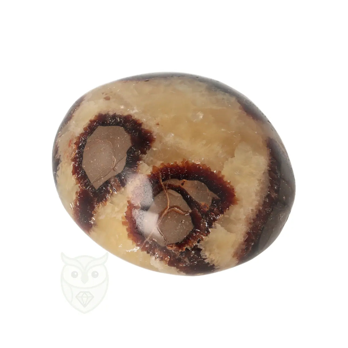 Septarie handsteen nr. 32 - 116 gram - Madagaskar | Edelsteen