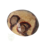Septarie handsteen nr. 32 - 116 gram - Madagaskar | Edelsteen