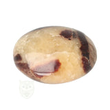Septarie handsteen nr. 33 - Madagaskar | Edelstenen septarie kopen