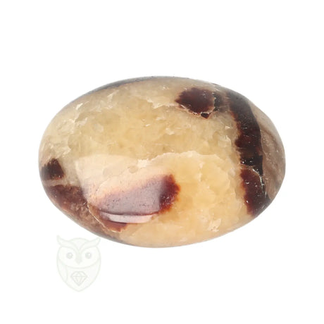 Septarie handsteen nr. 33 - Madagaskar | Edelstenen septarie kopen