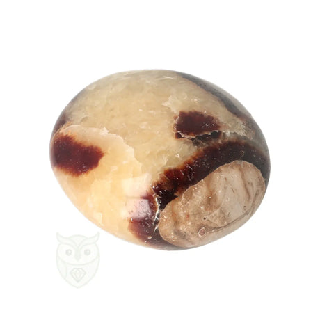 Septarie handsteen nr. 33 - 96 gram - Madagaskar | Edelsteen