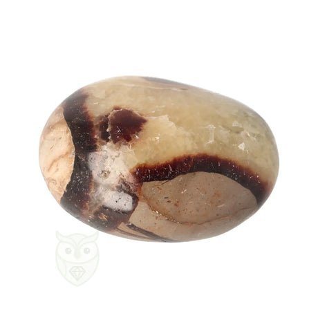 Septarie handsteen nr. 33 - 96 gram - Madagaskar | Edelsteen