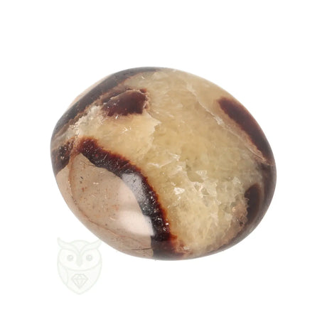 Septarie handsteen nr. 33 - 96 gram - Madagaskar | Edelsteen
