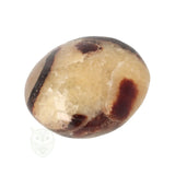 Septarie handsteen nr. 33 - 96 gram - Madagaskar | Edelsteen