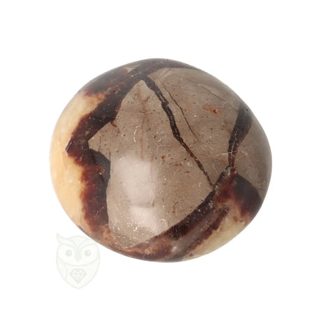 Septarie handsteen nr. 33 - 96 gram - Madagaskar | Edelsteen