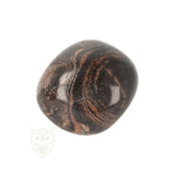 Stromatolite Tumble Stone no. 41 - 19 grams | Gemstone