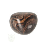 Stromatolite Tumble Stone no. 41 - 19 grams | Gemstone