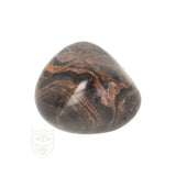 Stromatolite Tumble Stone no. 41 - 19 grams | Gemstone