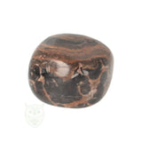 Stromatolite Tumble Stone no. 45 - 15 grams | Gemstone
