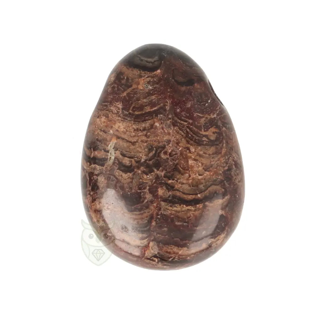Stromatoliet hanger Nr 19 - 10 gram | Edelsteen sieraad