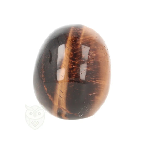 Tijgeroog schedel nr. 24 - 102 gram | Edelsteen skull