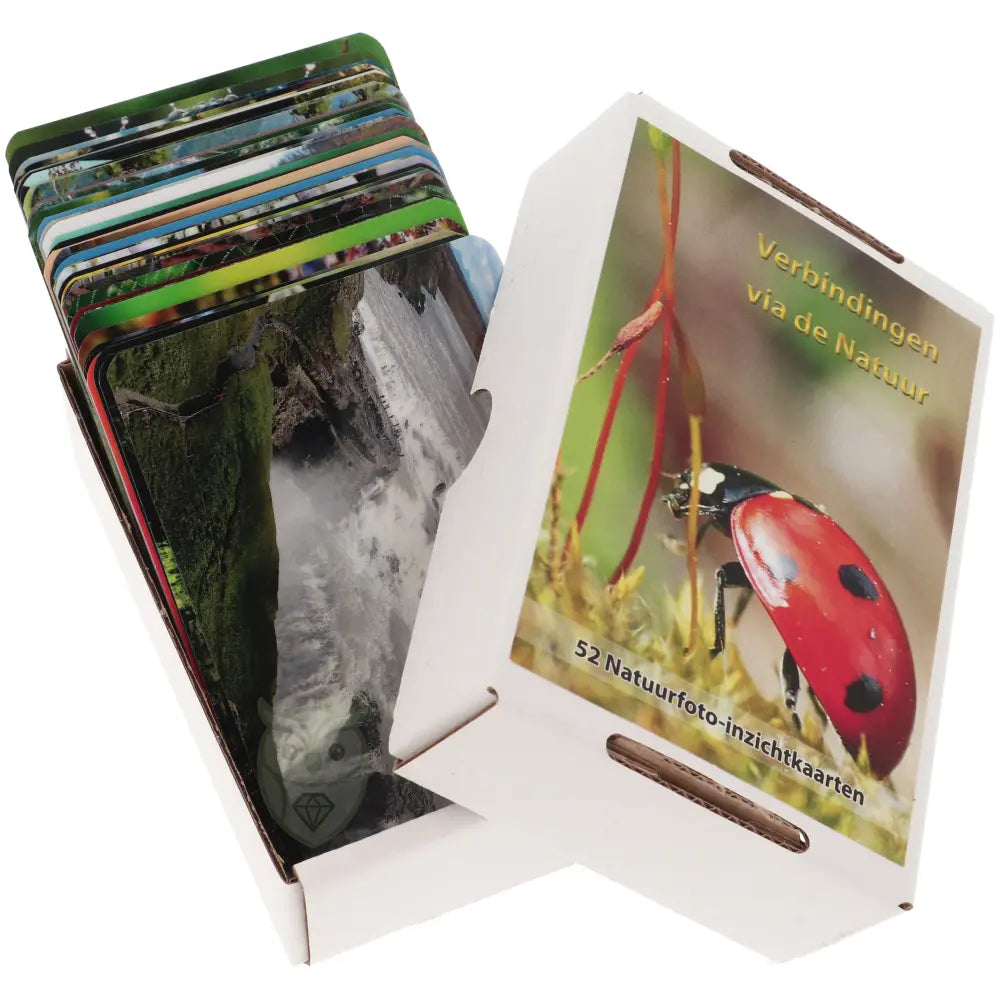reflectiekaarten natuur spiritueel kaarten deck