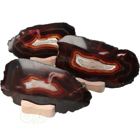 Agate Slices Set No. 55 - 648 grams