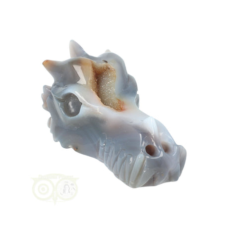 Agate Chalcedony Geode Dragon Skull 360 grams