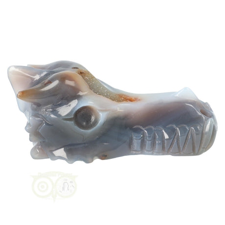 Agaat edelstenen draken schedel 360 gram met geode opening