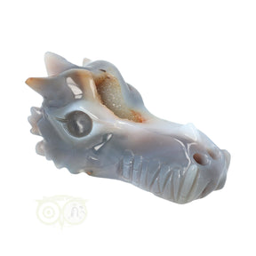 Agaat chalcedoon geode draken schedel 360 gram edelstenen draak