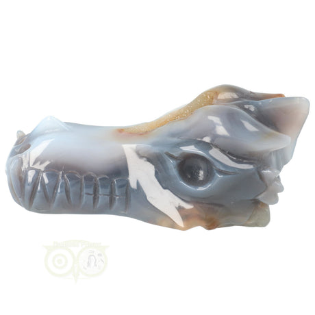 Kristallen draken schedel agaat chalcedoon 360 gram carving
