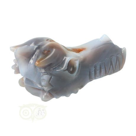 Agaat draken schedel 360 gram met geode en natuurlijke structuur