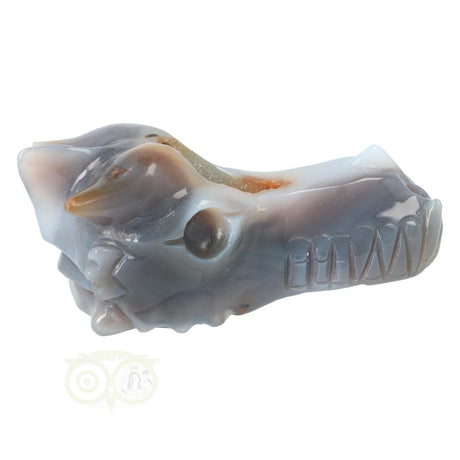 Draken schedel met agaat geode en chalcedoon 360 gram