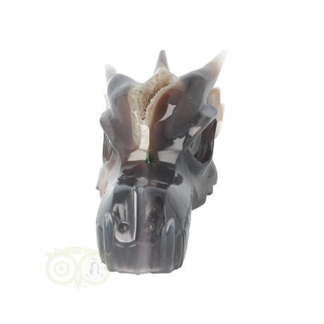 Edelstenen draken schedel agaat 618 gram donkerbruin met chalcedoon