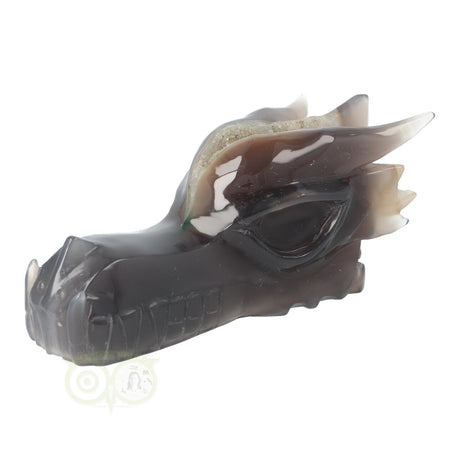 Kristallen draken schedel agaat chalcedoon 618 gram unieke carving