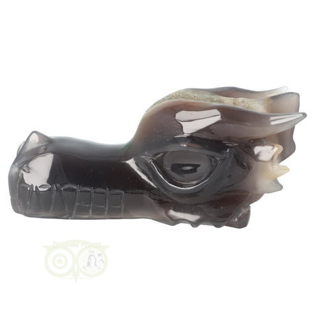 Agaat chalcedoon schedel draak 618 gram met natuurlijke kristallen