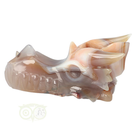 Draken schedel agaat chalcedoon geode 619 gram met kristallen kern