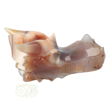 Edelstenen draken schedel agaat 619 gram met chalcedoon en geode