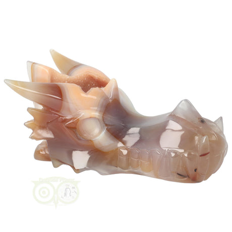 Agaat geode drakenschedel 619 gram met kristallen binnenzijde
