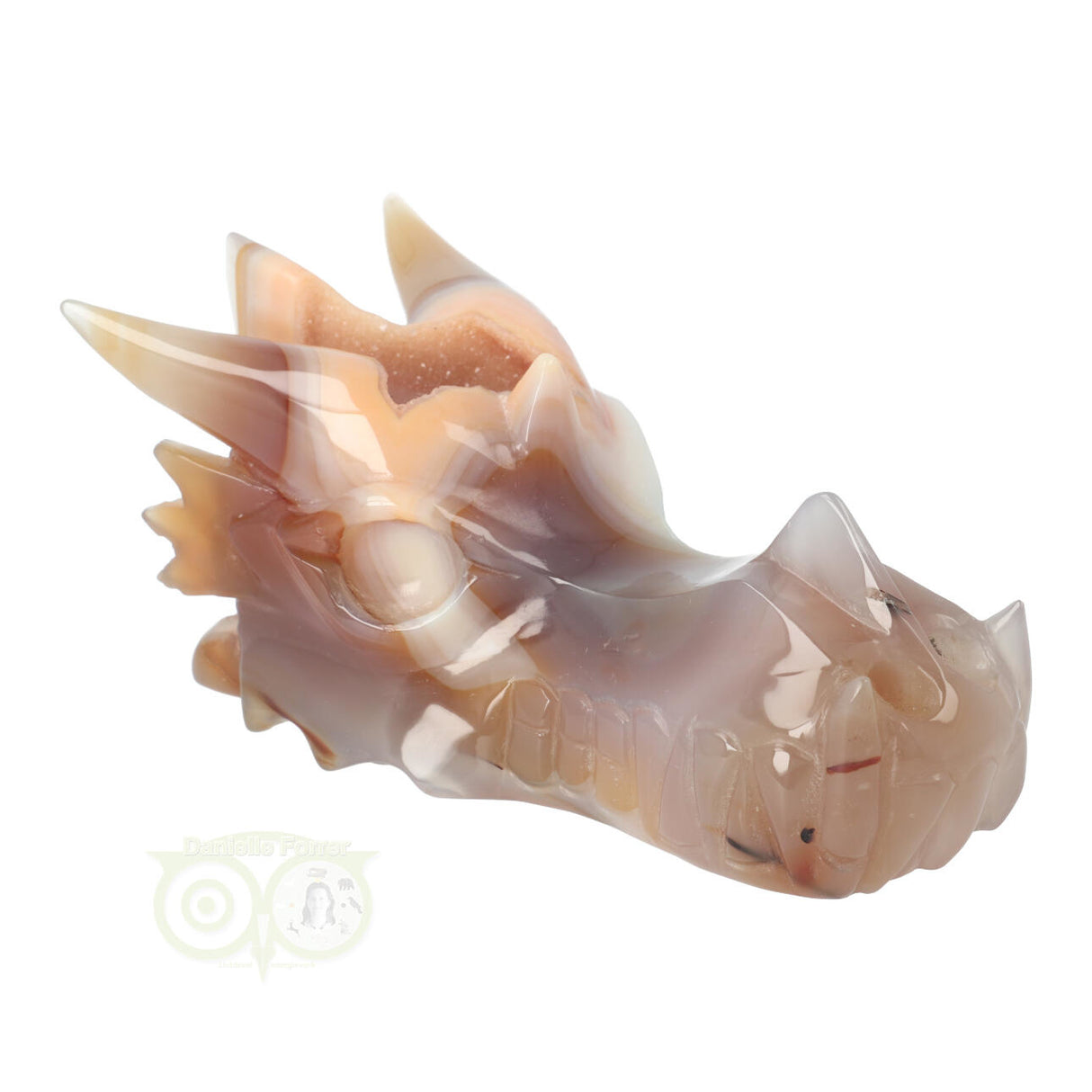 Agaat Chalcedoon Geode Drakenschedel 619 gram