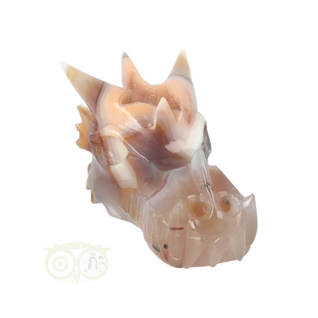 Agaat draken schedel 619 gram met geode structuur en kleur